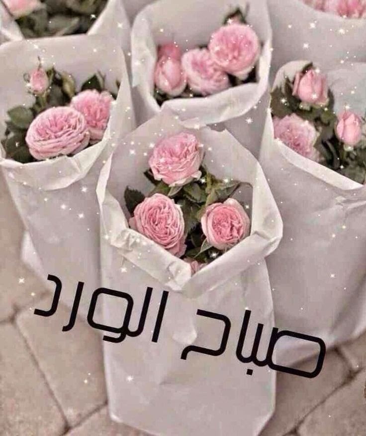 صور صباح الورد - صور رائعه ومميزه لصباح الورد 3836 7