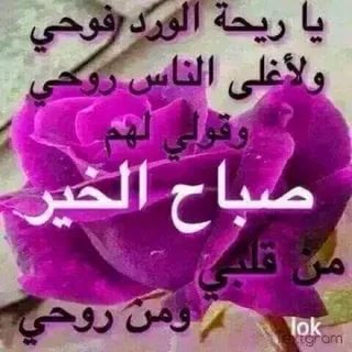 كلمات صباح الخير - اروع كلمات الصباح 2460 77