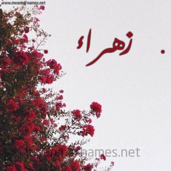 صور اسم زهراء - توضيح معنى اسم زهراء 4739 3