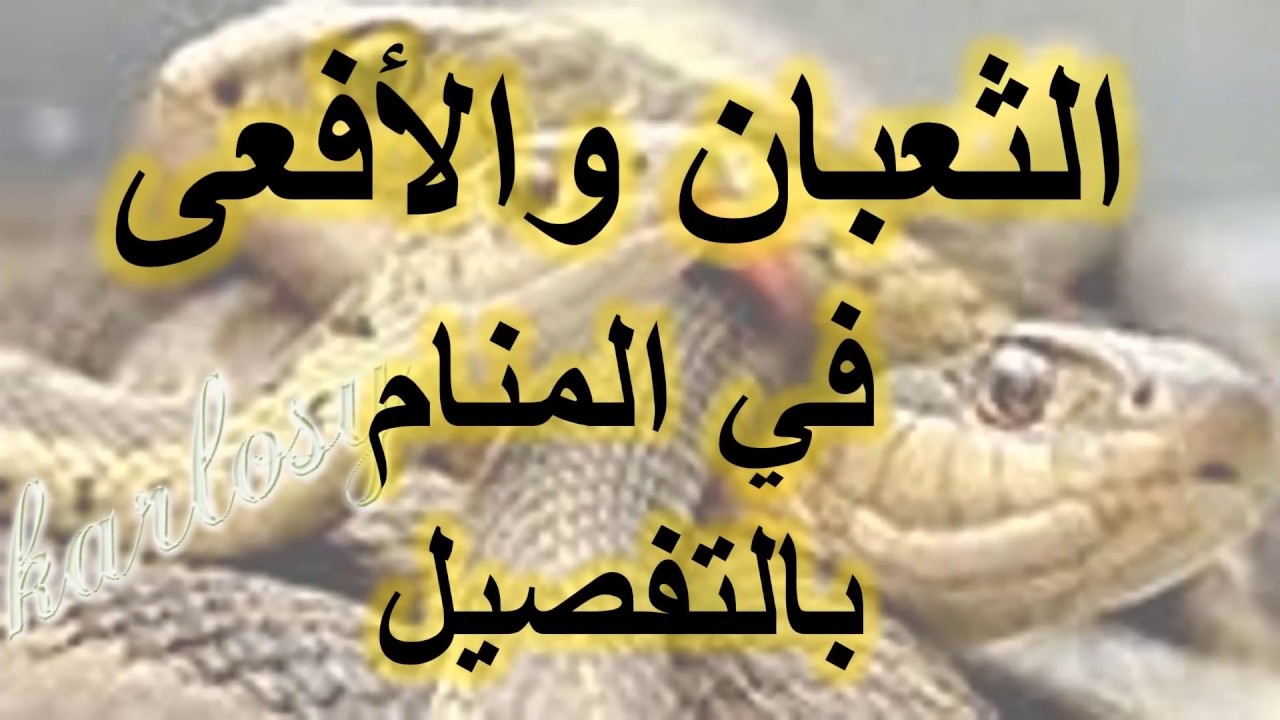 الثعبان في المنام