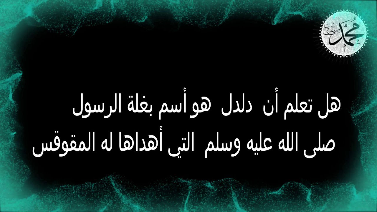 هل تعلم عن الرسول-ونعلم عنك الكثير يارسول الله صلى الله عليه وسلم 2157 1