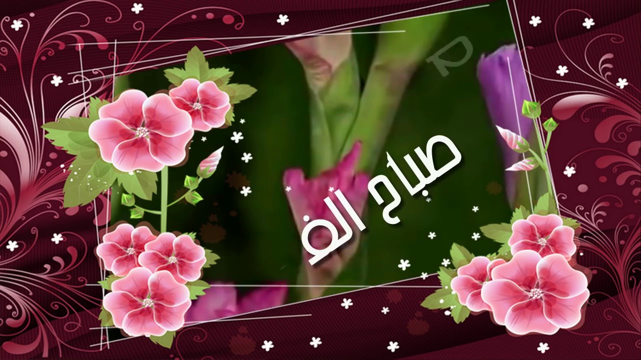 صباح الورد والفل 5623 3