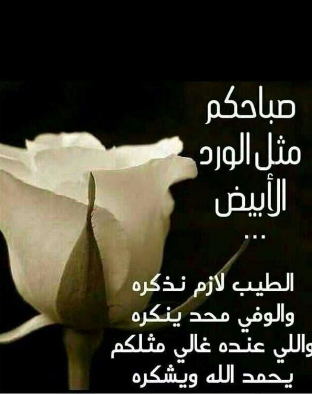 شعر عن الصباح 4597 1