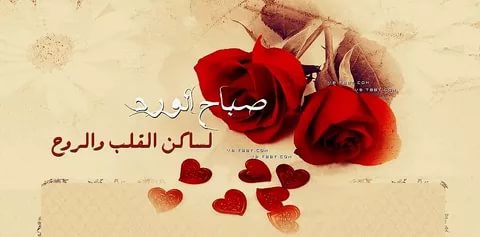 صور صباحيات - اروع صور الصباح 2285