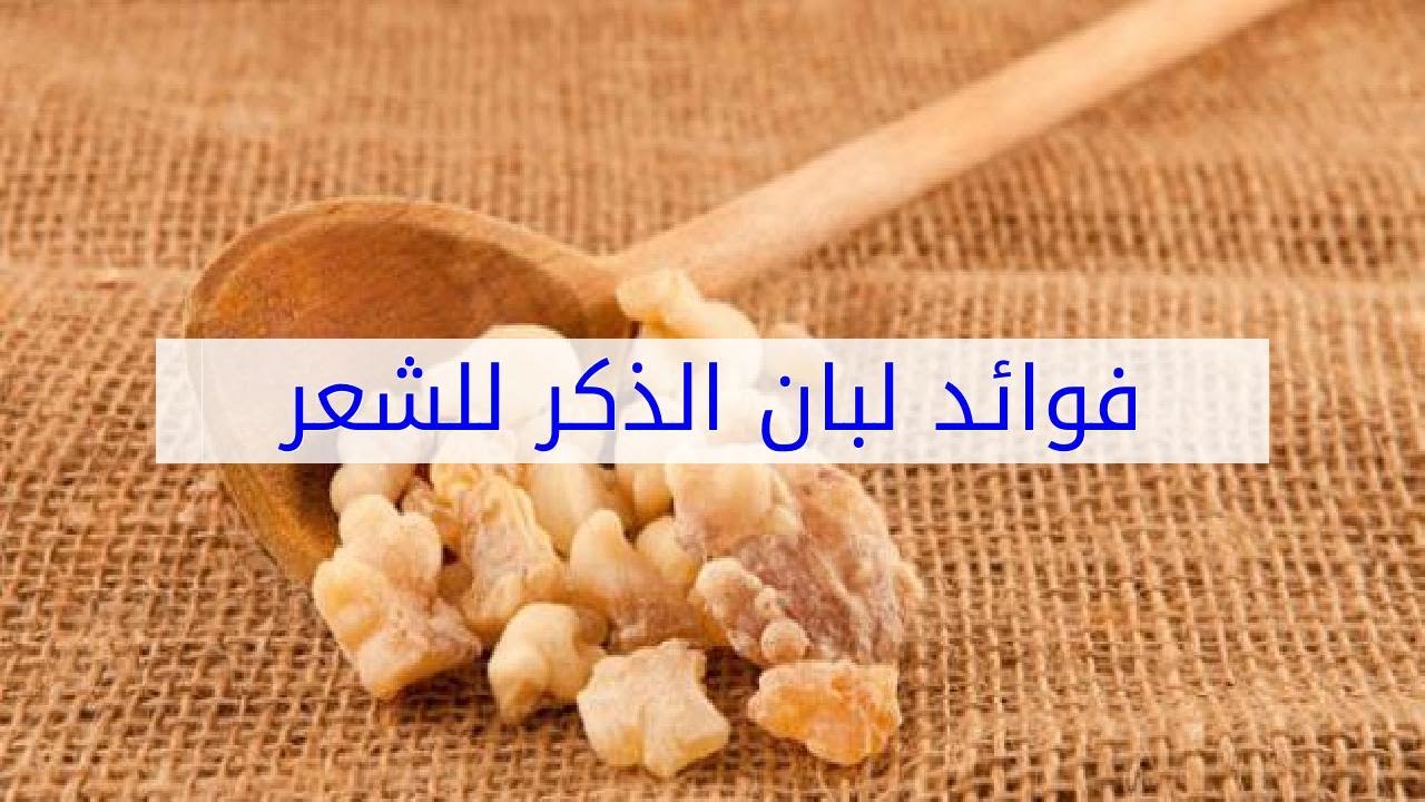 اللى هو يعنى اللبان الدكر - فوائد ذكر اللبان