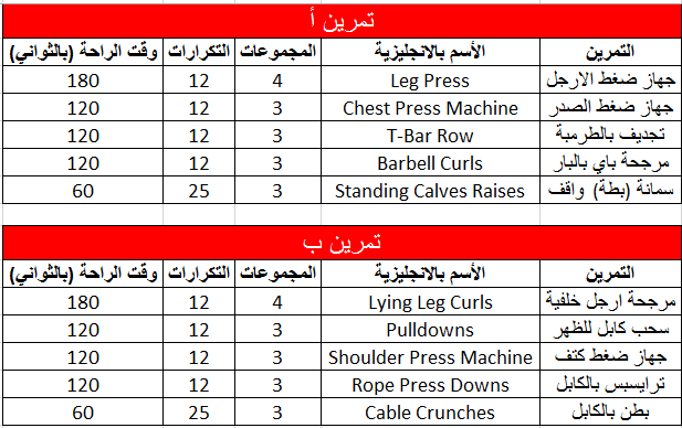 برنامج كمال اجسام - البرامج الخاص بكمال الاجسام 2972