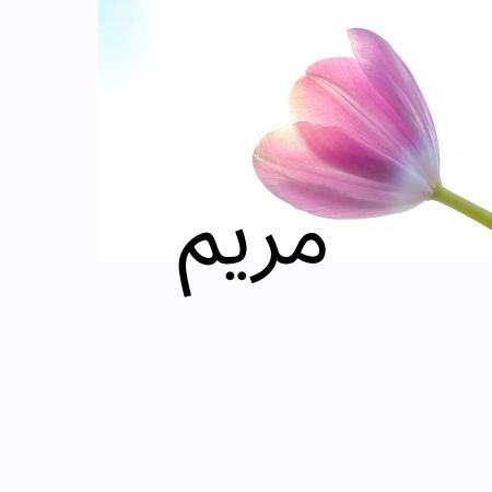 ما معنى اسم مريم 794 1