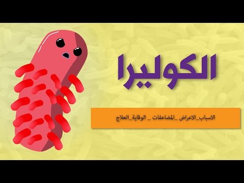 مرض الكوليرا - ماهو مرض الكوليرا 0 42