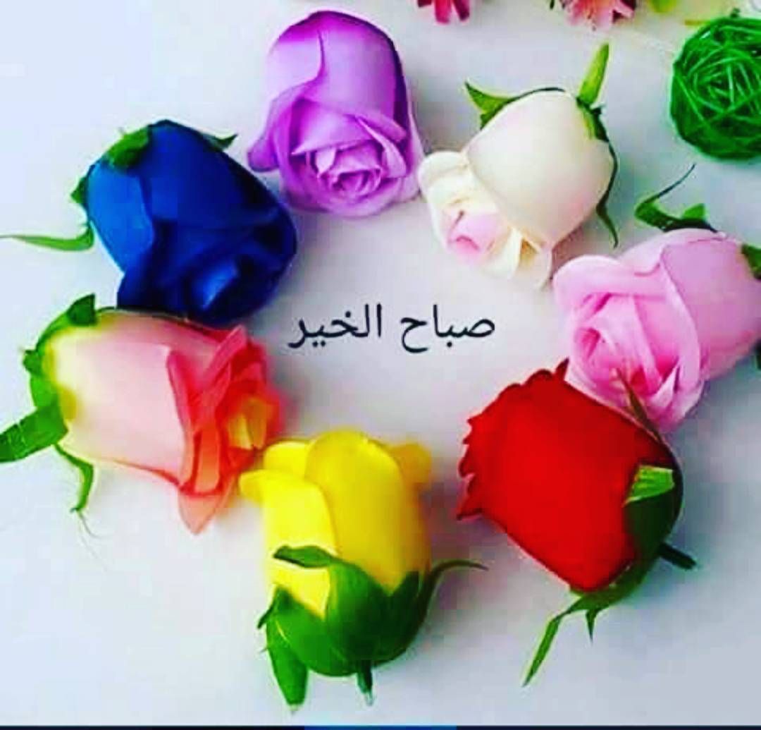 صباح الورد والفل 5623 4