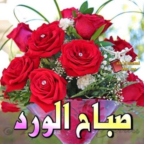 صور صباح ومساء - اجمل صور صباح الخير ومساء الخير 240 1