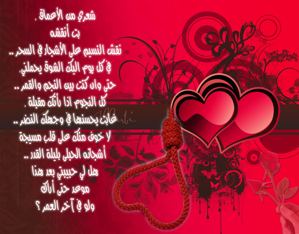 اجمل شعر عن الحب 5187 2