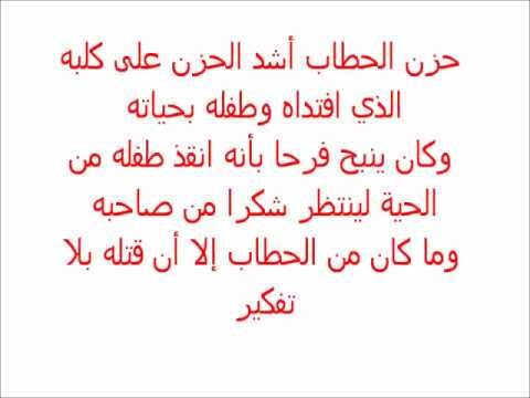 حكاية قصيرة،حواديت قبل النوم للاطفال 5839 3