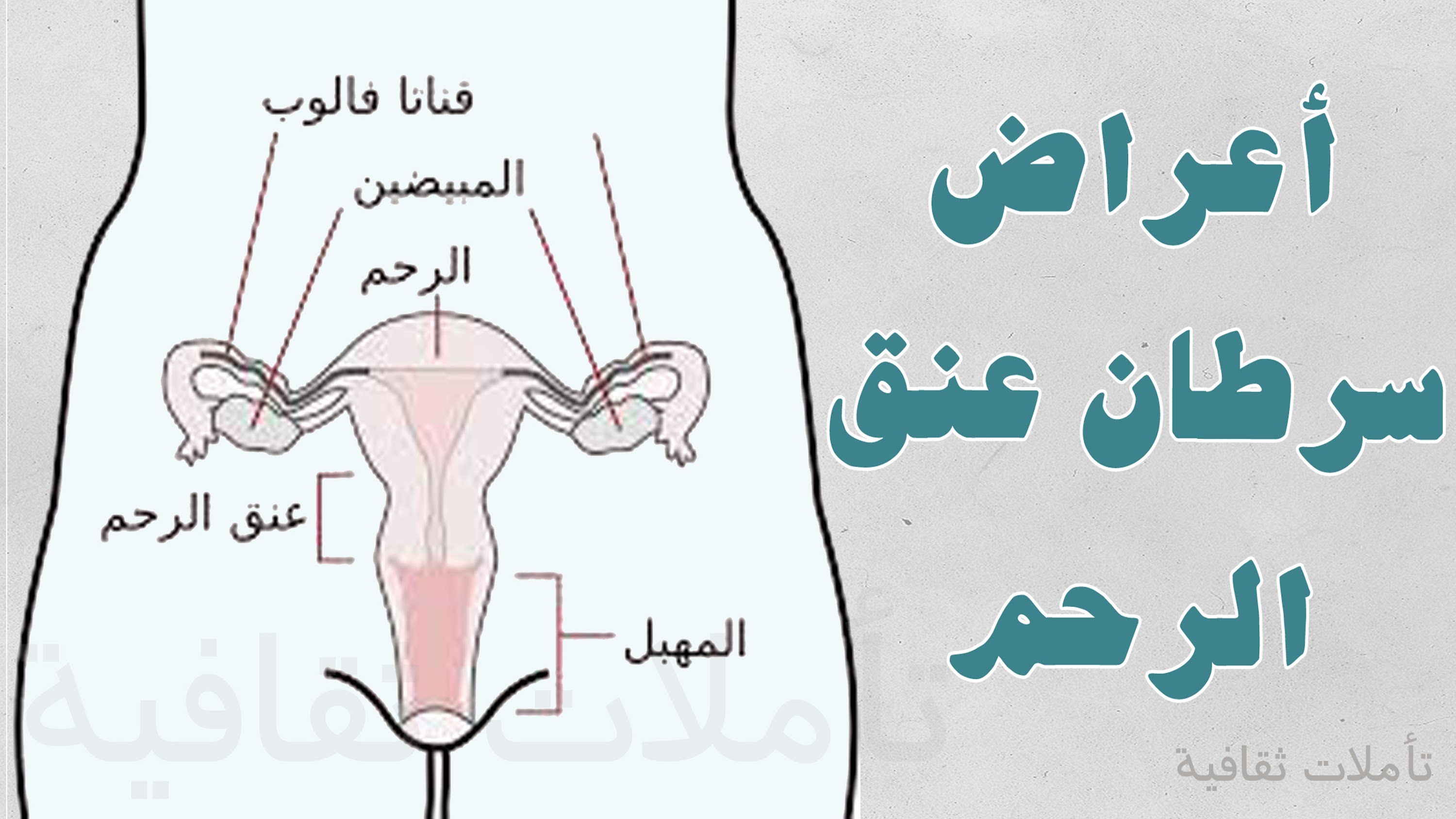 اعراض سرطان الرحم - اسباب سرطان الرحم 3237 5