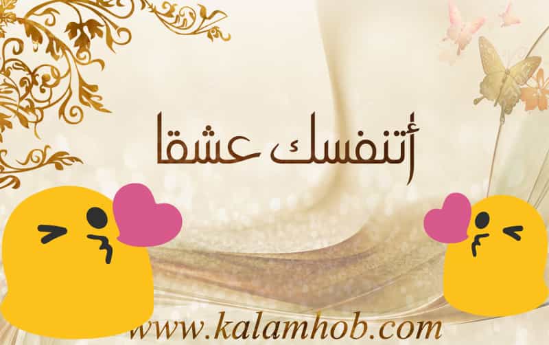 احلى كلام رومانسى - كلام جميل للاحباب 4735 10