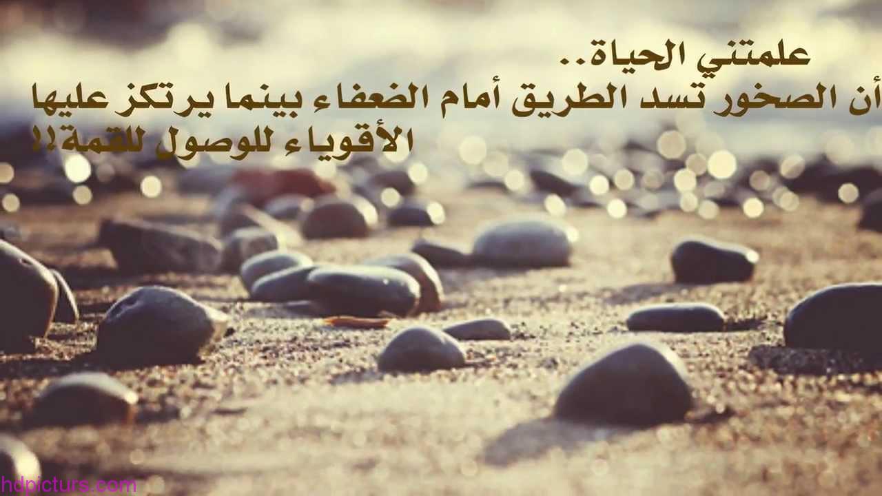 صور فيها حكم - اجمل صور الحكم 3962 3