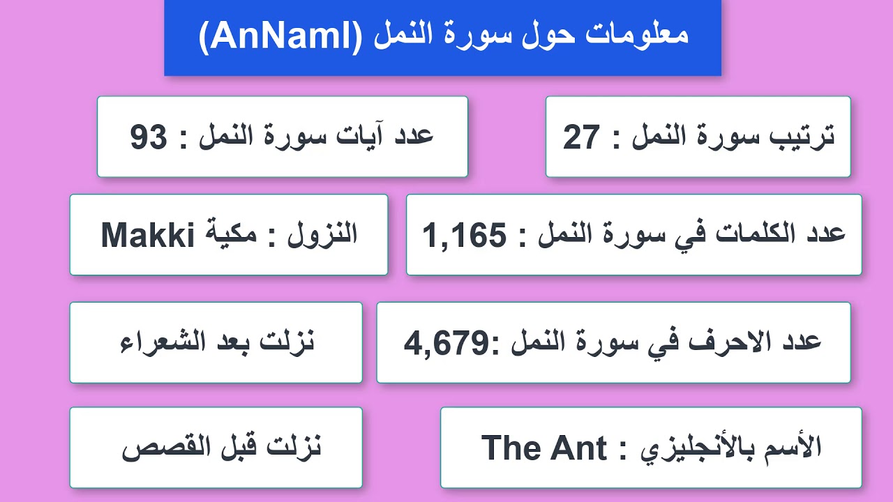 معلومات عن النمل- معلومات عن عالم النمل 1946 9