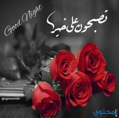 تصبح على خير بالصور - اجمل الصور المسائيه 5438 2