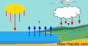 في دورة الماء يتحول الماء من الحالة السائلة الى الحالة الغازية في عملية تسمى , تعرف عليها الان