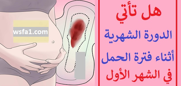 اشياء غريبة جدا تحدث للمراة - وجود الدورة الشهرية مع الحمل 12304