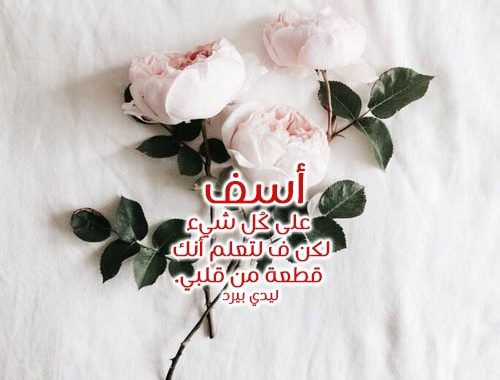 رسالة اعتذار للحبيب الزعلان , رسائل اعتذارت للحبيب الزعلان