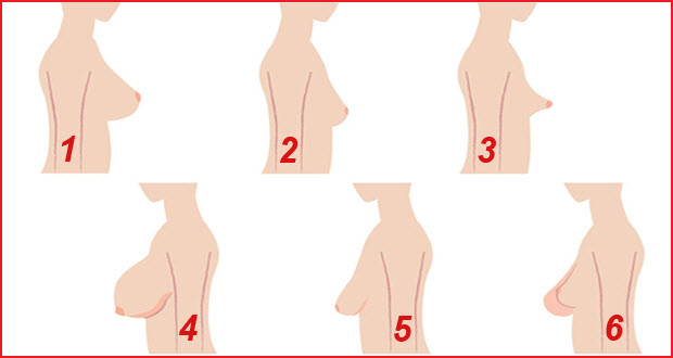 انواع ثدي المراة بالصور , بالصور الاشكال المختلفه لثدى المراه
