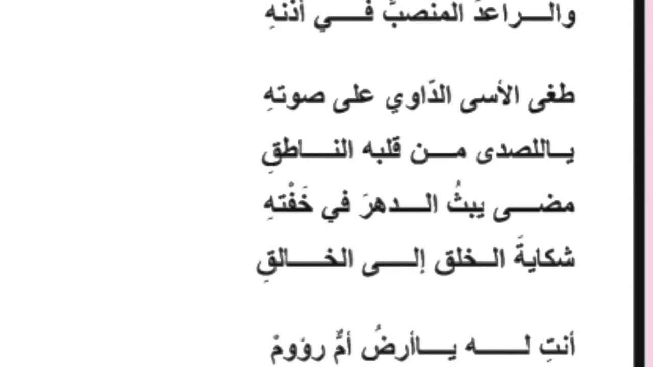 ابيات شعر حلوه وقويه 4329