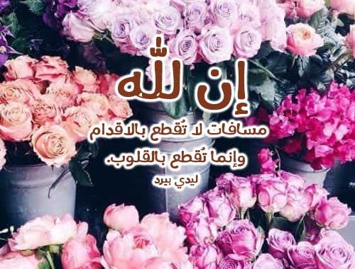 حالات واتس اب دينيه , اجمد حالات للواتس