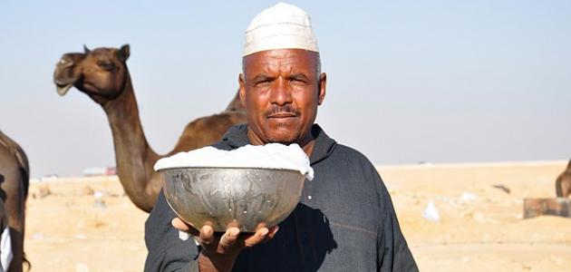 فوائد حليب الناقة - ما هي الاستفاده من شرب حليب الناقه 1165