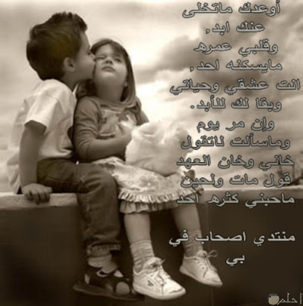 صور حب جامده 4512 9