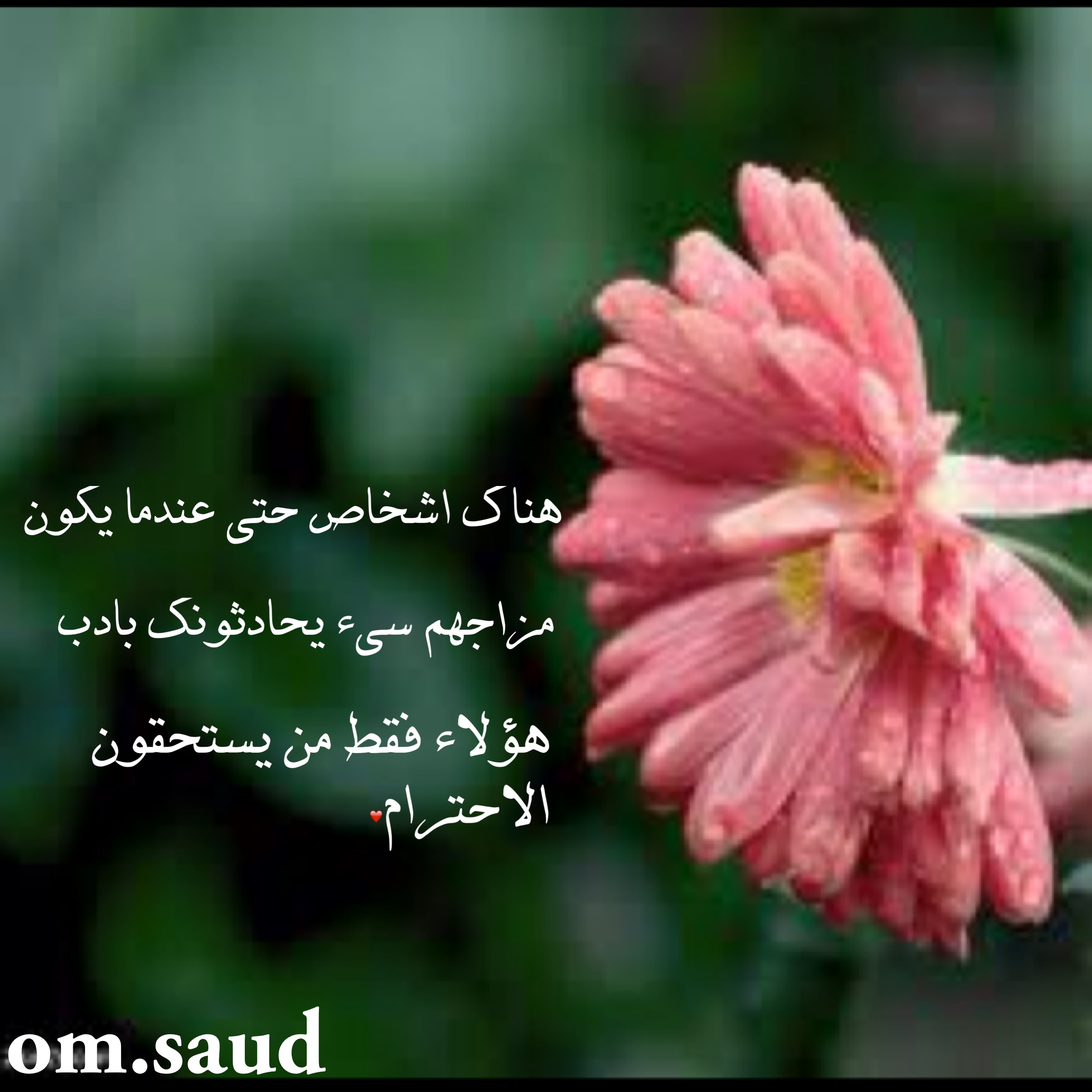 صور واتس اب جديده - اجمل حالات واتس اب 3271 1