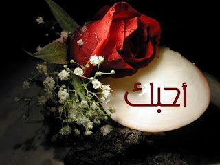 مسجات احبك 5681 10