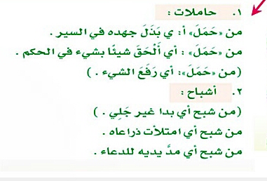 بعض معاني اللغة العربية المهمة تعرف عليها , معنى كلمة حاملات