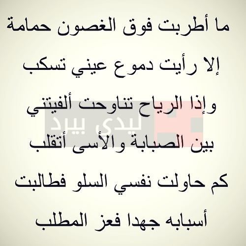 شعر فصيح , اجمل الاشعار الفصيحه