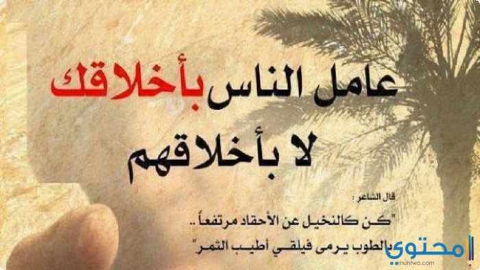 صورمكتوب عليها عبارات حلوه - صور كلمات جميلة ومؤثره 2901 11