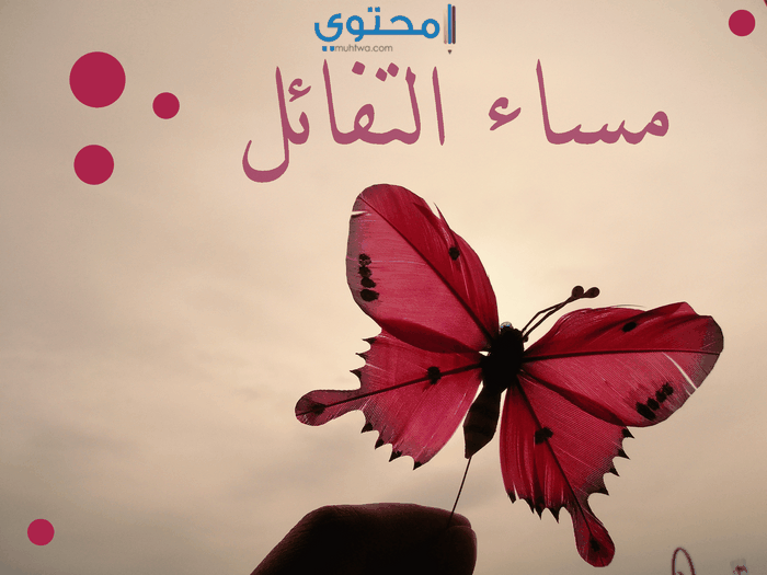 صور للمساء - اجمل الصور للمساء 2780