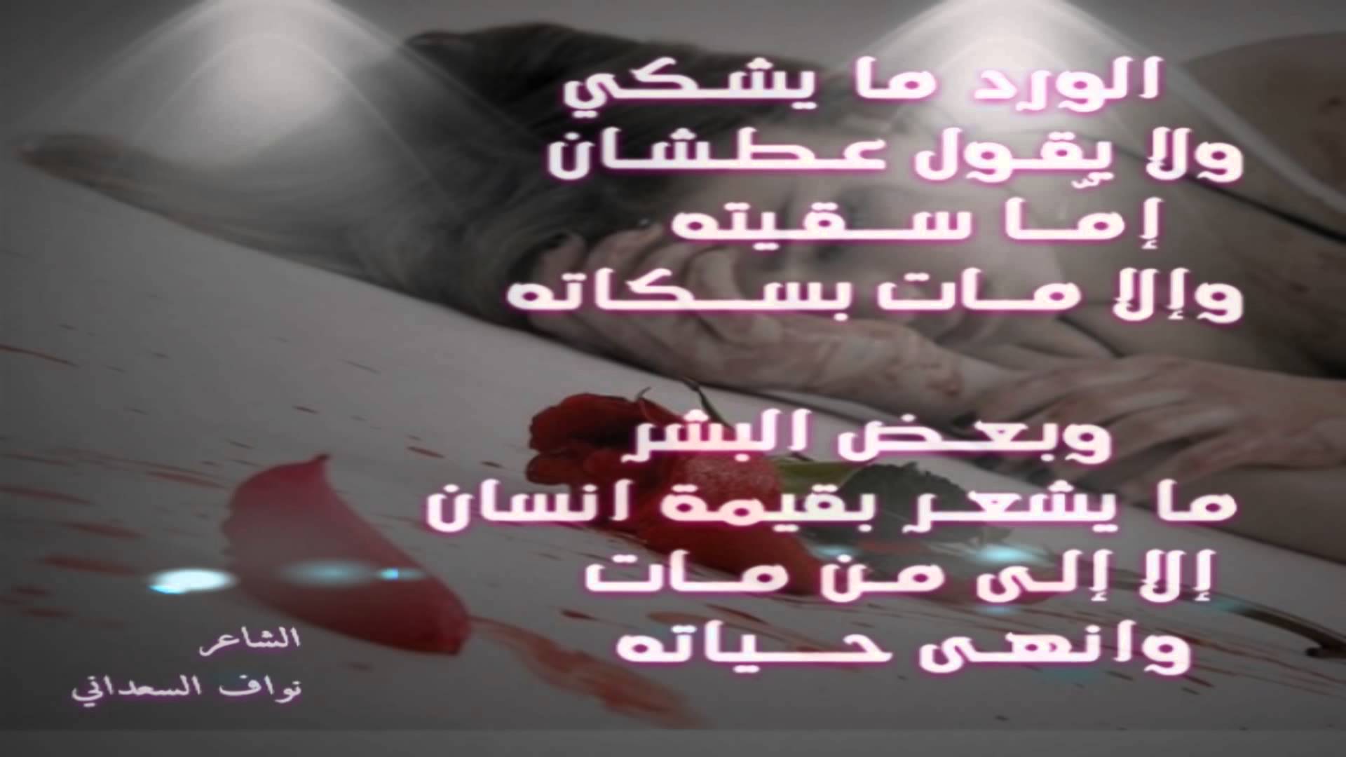 شعر عن الورد - اجمل الاشعار عن الورود 1271