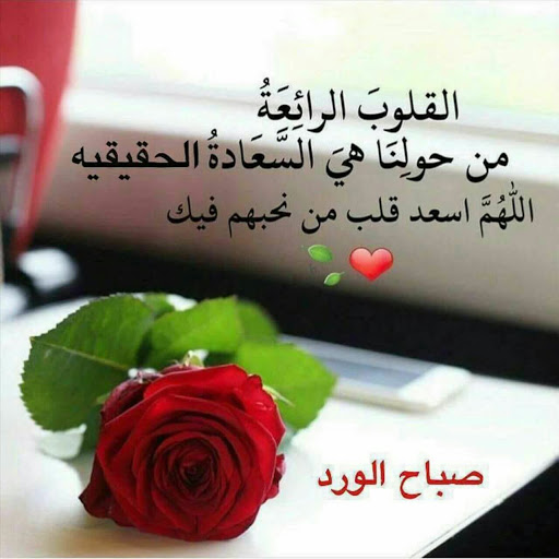 صباح الخير حبيبي 3405 3