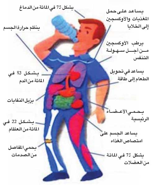 كل يوم معلومة طبية , معلومات طبيه مفيده