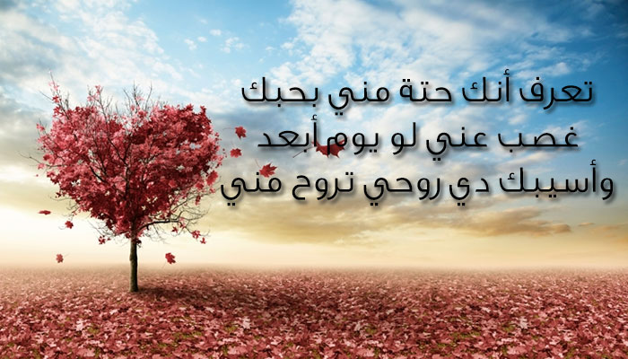 رسايل رومانسيه , مسجات تعبر بها عن حبك