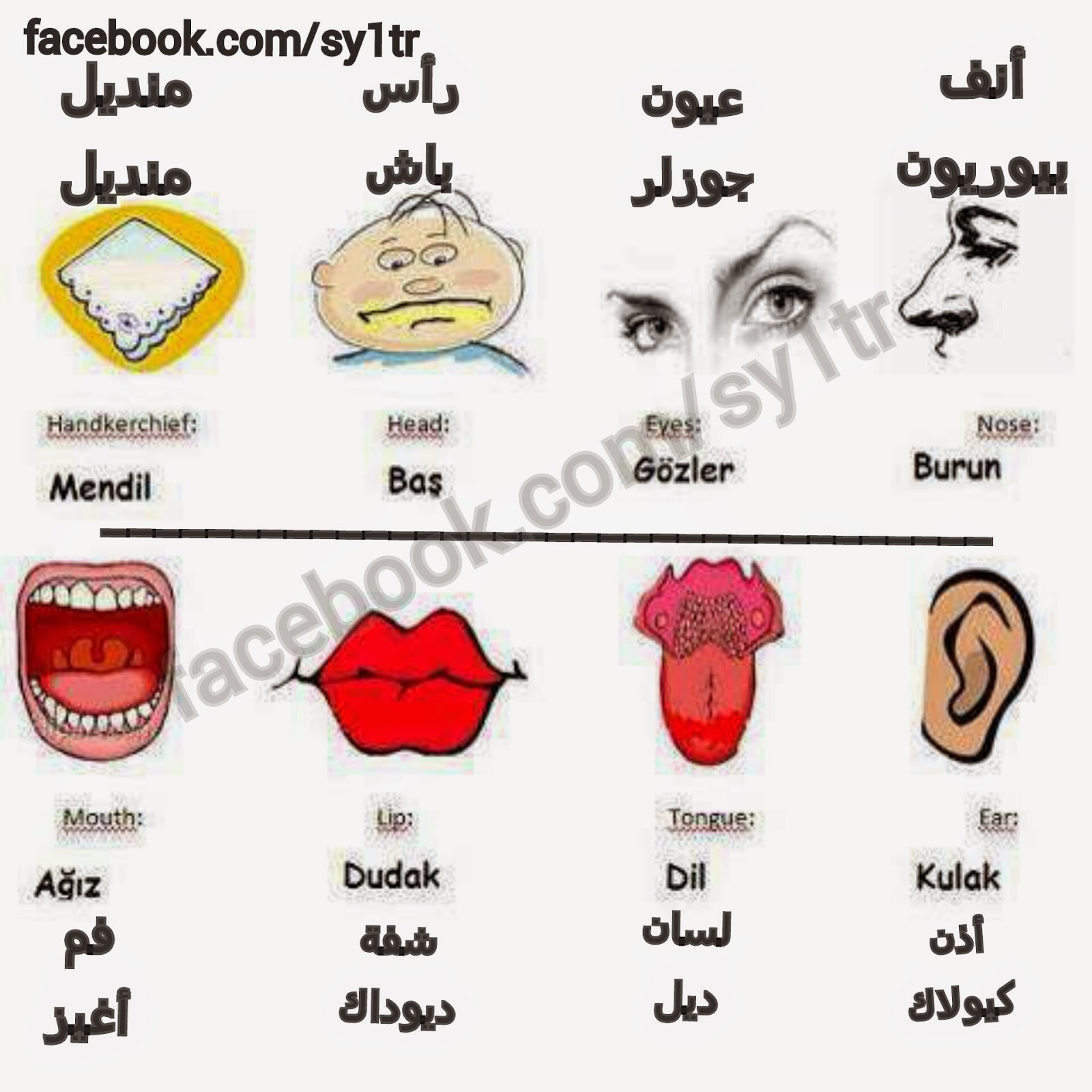 تعلم تركي - كيفية تعلم تركي 680