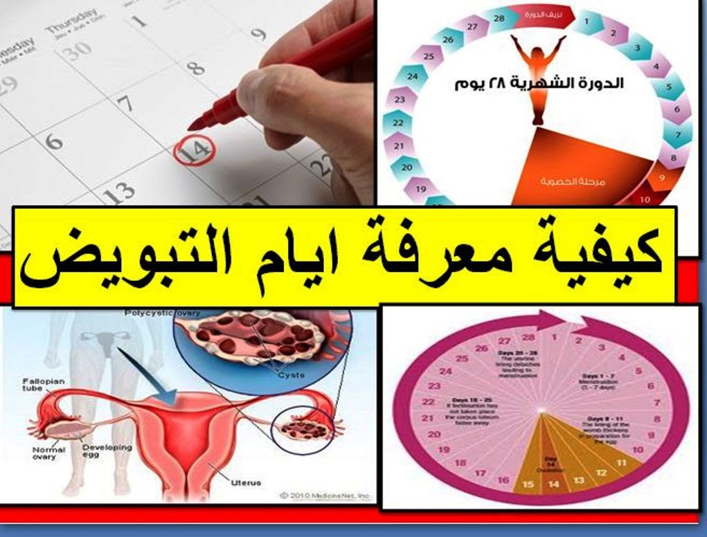 كيف اعرف ايام التبويض - متي تبدا فترة التبويض 3701