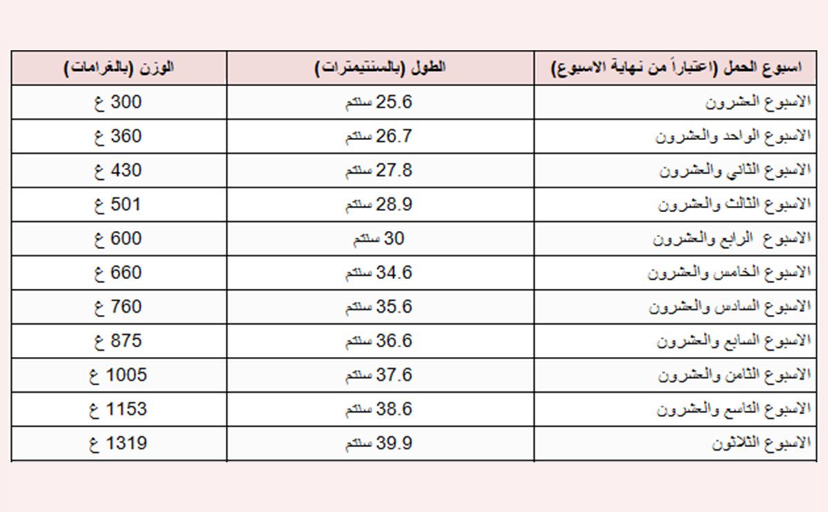 لازم تتابعى الوزن - كم يكون وزن الجنين في الشهر السادس 12009 3