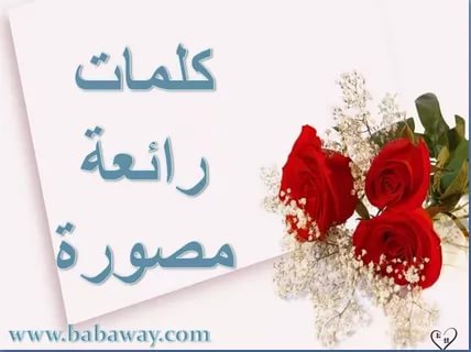 كلمة صباح الخير - اجمل العبارات في الصباح 2589 34