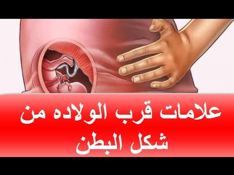 عند تلقيح البويضة ماذا تشعر المراة - تلقيح البويضة 2229 12