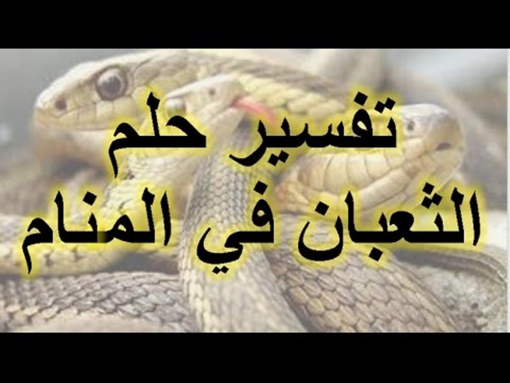 تفسير حلم الثعبان , اختلفوا في تفسير حلم الثعبان