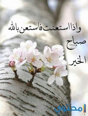 رسالة صباح الخير - اجمل الرسائل صباح الخير 3210 9