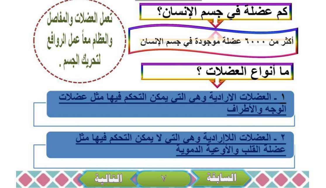 كم عدد عضلات جسم الانسان - عدد الانسان البشرى 5322 5