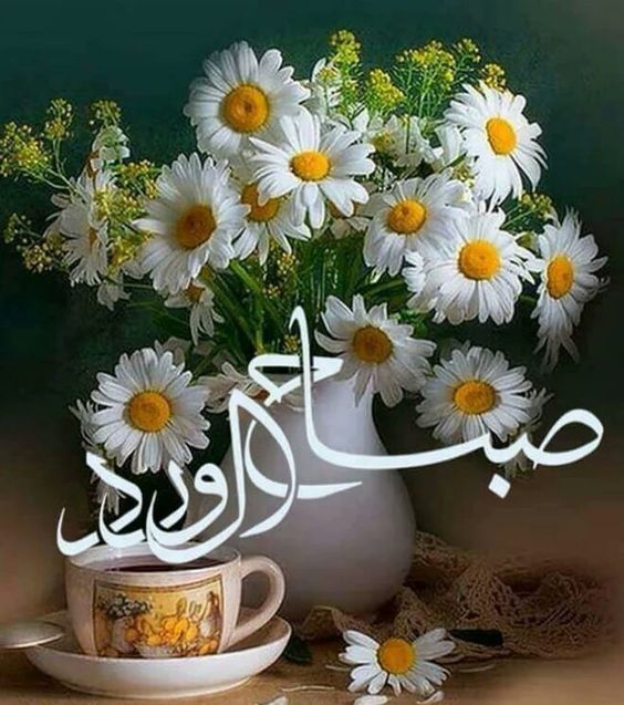 صورصباح الخير جديده , تحيات صباحيه مبهجه للفيس