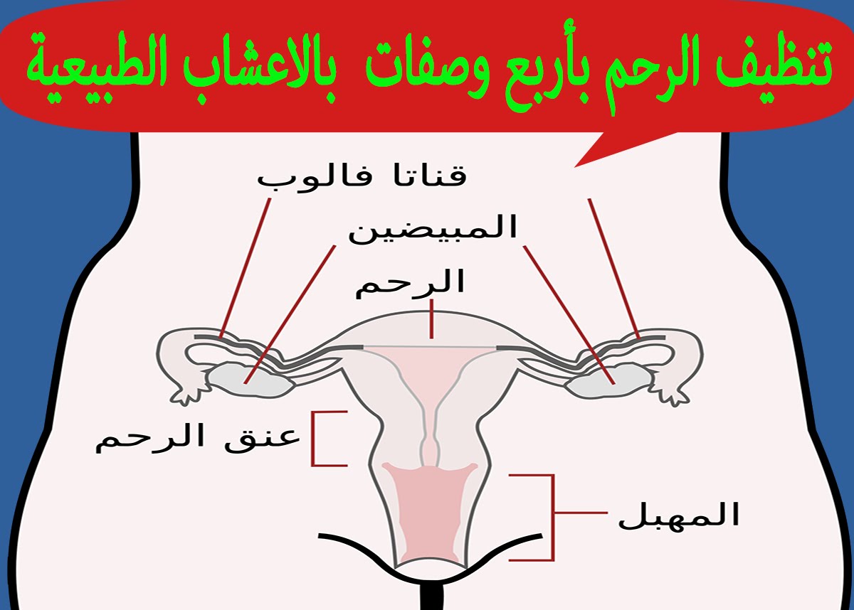 خلطة اعشاب للاجهاض- هناك خلطات كثيره الاجهاض 2770 1