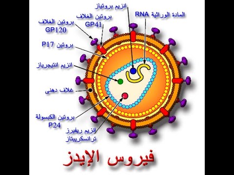 مرض السيدا - اعراض الخطيرة لمرض السيدا - الايدز - 3158 2